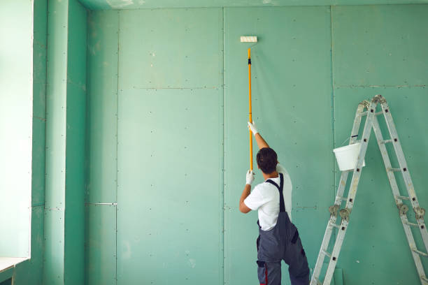Best Industrial Mold Remediation  in Oracle, AZ
