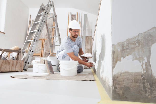 Best Mold Remediation for Healthcare Facilities  in Oracle, AZ
