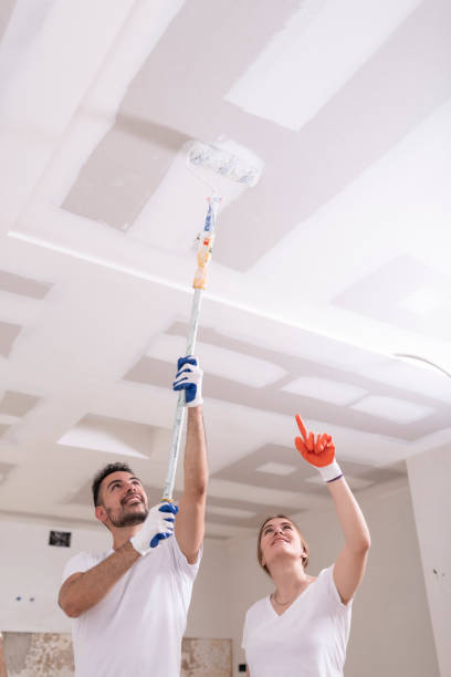 Reliable Oracle, AZ Mold Removal Solutions