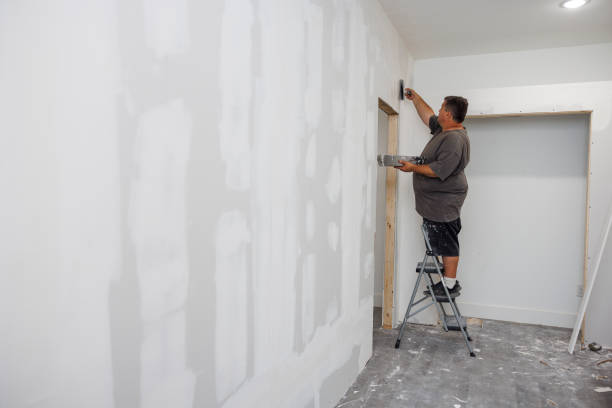 Best Mold Remediation for Rental Properties  in Oracle, AZ