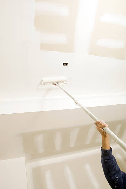 Mold Remediation for Rental Properties in Oracle, AZ
