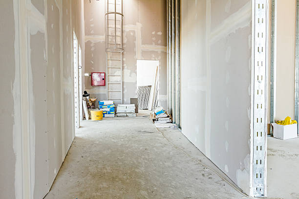 Best Mold Prevention Services  in Oracle, AZ